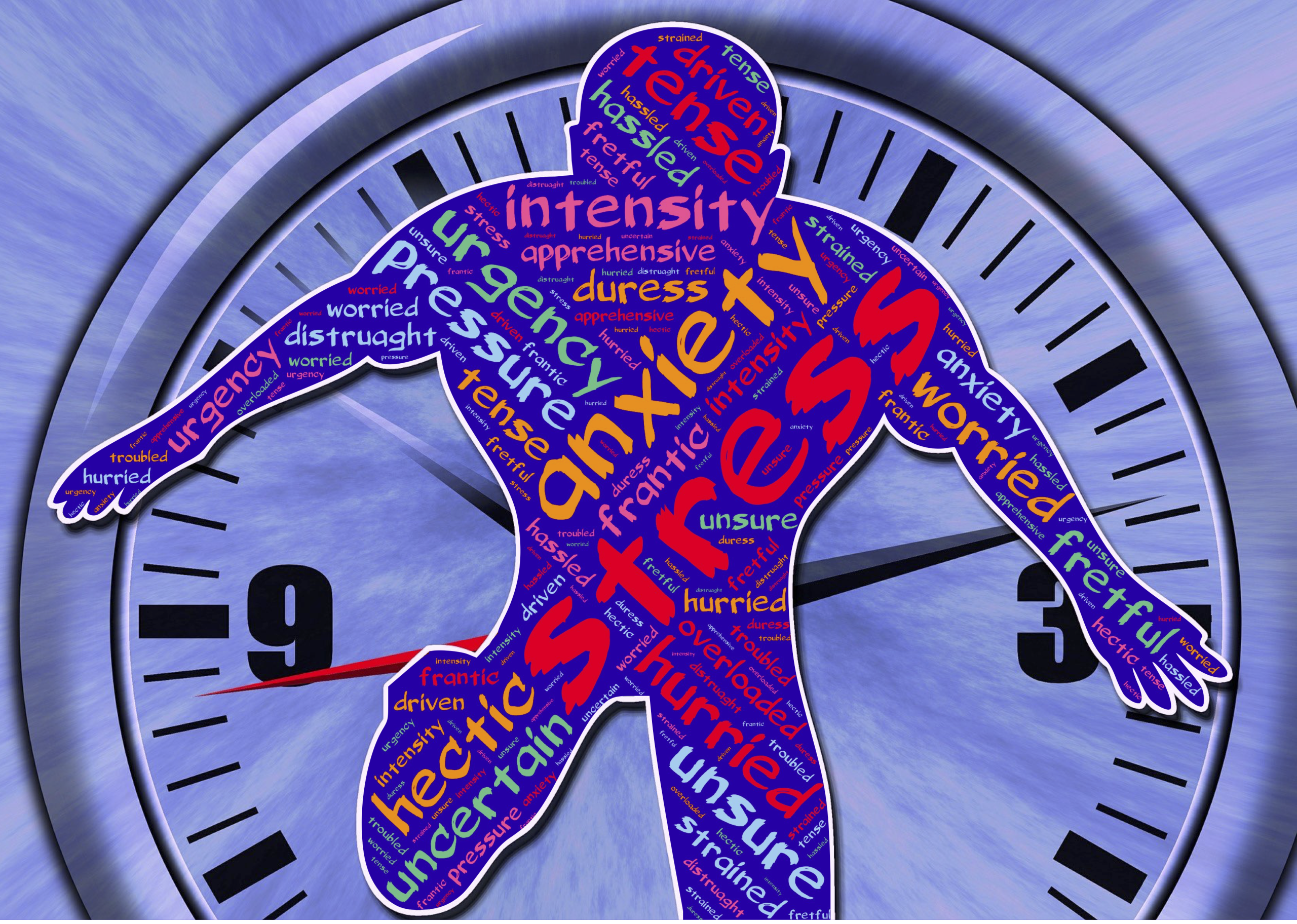 anxiety counselling in dorset